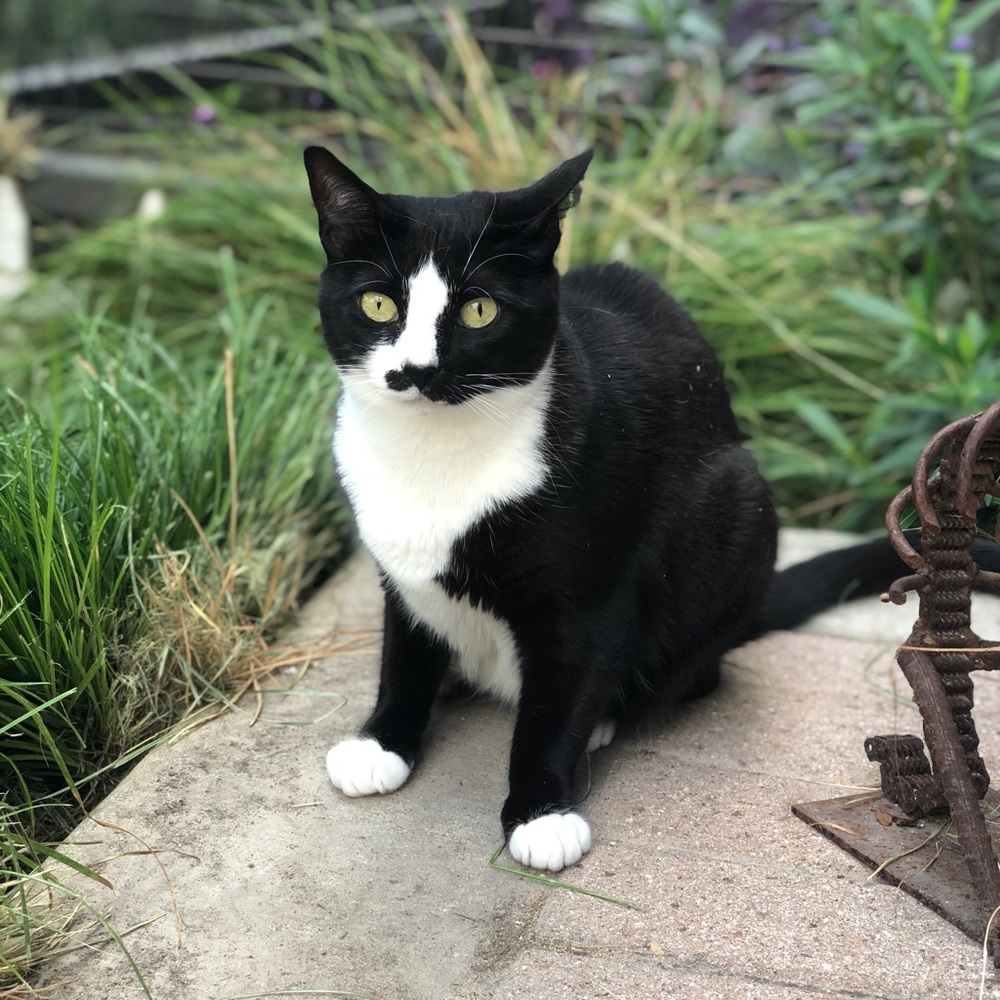 We’re Open to Offers!